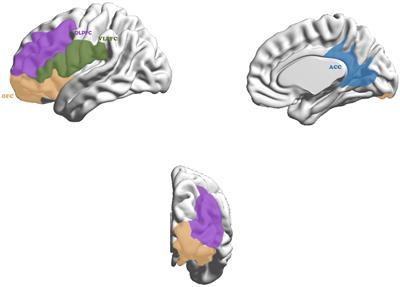 Association of Affected Neurocircuitry With Deficit of Response Inhibition and Delayed Gratification in Attention Deficit Hyperactivity Disorder: A Narrative Review
